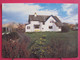 Visuel Très Peu Courant - Ecosse - Crianlarich - The Lodge Guest House - Excellent état - R/verso - Perthshire