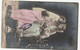 Carte Postale Et Timbre  1906 - Other & Unclassified