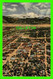 COLORADO SPRINGS, CO - AERIAL VIEW OF DOWNTOWN WITH PIKES PEAK IN THE BACKGROUND - SANBORN SOUVENIR CO - - Colorado Springs