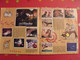 Delcampe - Album D'images Collées Panini. Bernard Et Bianca Au Pays Des Kangourous. Complet (240 Images). 1991 - Disney