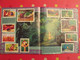Delcampe - Album D'images Collées Panini. Le Roi Lion. Complet (232 Images). 1994 - Disney