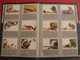 Delcampe - Album D'images Collées Rossel Editions. Bébés Animaux. Complet. Vers 1970 - Disney