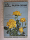 Catalogue Fleurs Pajotin Chédane Angers Rose Rosiers - Publicidad