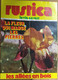 Rustica_N°143_ 24 Septembre 1972_la Fleur Qui Mange Les Pierres_les Allées En Bois - Jardinería