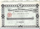 Action De 500 Francs Au Porteur OMNIUM PETROLIFERE NORD ET EST (capital 10 Millions) 1920 - Petróleo