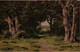 CPA - ILLUSTRATION Alfred MAILICK - Paysage Champêtre ... Edition Viennoise - Mailick, Alfred