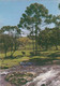 Brazil & Rio Grande Do Sul, Canela, The City Of Hortensias, Cascata Do Caracol, Santa Comba De Seia Portugal 1979 (9) - Porto Alegre