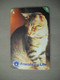 7010 Télécarte Collection CHAT Friends For Life  ( Recto Verso)  Carte Téléphonique - Katten