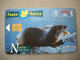 7014 Télécarte Collection LOUTRE  Nutria   Lutra   Espagne    ( Recto Verso)  Carte Téléphonique - Altri & Non Classificati