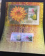 (OO 26) Australia Presentation Stamp Pack - Australian National Botanic Gardens (with 4 Used Stamps) - Presentation Packs