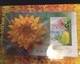 (OO 26) Australia Presentation Stamp Pack - Australian National Botanic Gardens (with 4 Used Stamps) - Presentation Packs