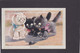 Cat Card -  Curiosity !!.    AE Kennedy.  CW Faulkner. - Gatos