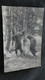 Delcampe - Lot De 100 Cpa Carte Photo Militaire Soldat  Régiment Toutes Photographiées   Lot N°1   Z2 - Regiments