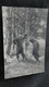 Delcampe - Lot De 100 Cpa Carte Photo Militaire Soldat  Régiment Toutes Photographiées   Lot N°1   Z2 - Reggimenti