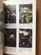 Delcampe - The Pocket Guide To The Wildflowers  - Samuel Gottscho - Otros & Sin Clasificación