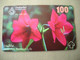 7033 Télécarte Collection FLEUR  AMARYLLIS BARBADOS LILY      ( Recto Verso)  Carte Téléphonique - Fleurs