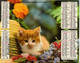 Calendrier Grand Format 1977 Almanach Des PTT Chien Chat Animaux - Grand Format : 1971-80