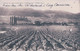 Vinzel VD, Culture De Vigne Américaine, H. Rosset Fils (1.9.1913) - Vinzel