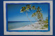 R23 NOUVELLE CALEDONIE BELLE CARTE 1997 NOUMEA POUR TRIEL FRANCE + AFFRANCH PLAISANT - Covers & Documents