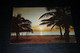 28924-                   ARUBA, TWILIGHT ON PALM BEACH - Aruba