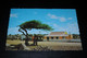 28927-                  ARUBA, DIVI-DIVI-TREE WITH CUNUCUHOUSE - Aruba