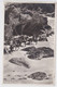 Bermuda South Shore Horse Beach Photo Walter Rutherford Horseman Chevaux Plage Cheval To France Bermudes - Bermuda