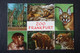 Frankfurt Zoo , Giraffe, Lion, Bear - Old Postcard - Hippopotames