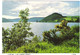 LLYN VYRNWY, POWYS, WALES. UNUSED POSTCARD As1 - Montgomeryshire