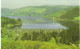 LLYN VYRNWY, POWYS, WALES. UNUSED POSTCARD As1 - Montgomeryshire