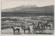 MT. RUAPEHU FROM WAIMARINO RAILWAY STATION - BEATTIE & CO - MOA SERIES - New Zealand