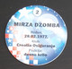 Handball, Croatian National Handball Team, Mirza Dzomba - Handball