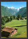 Suisse - Wilderswilb Eiger, Mönch Und Jungfrau ( Colorphoto H. Steinhauer N° 7552 ) - Wilderswil