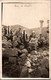 SYRIE  --  Carte Photo - RARE - Syrie