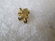 PIN'S  LOGO   PEUGEOT   11X8mm - Peugeot