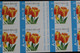 Jaar 2005: B54 'Buzin: Oranje Tulp' - Ongetand Met Nummer - Zeer Mooi! - Otros & Sin Clasificación