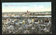 AK Werder An Der Havel, Panorama Während Der Baumblüte - Werder