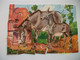 Lot De 7 Puzzles Anciens THEME ANIMAUX - Rompecabezas