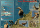 Delcampe - Lot   - Thème - Animaux -  Chèvre Bouquetin Chamois Isard- 68 Cartes - 5 - 99 Postkaarten