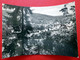 Georgenthal - 1964 - Blick V. Schwabhäuserkopf - Echt Foto - Thüringer Wald - Thüringen - Georgenthal