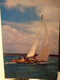 Delcampe - 4 Cartoline Barche A Vela Sail Boats - Segeln