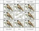 SERBIA 2021,NEW 12.05,EUROPA CEPT,ENDANGERED NATIONAL WILDLIFE,FAUNA,BIRDS,FALCO,SHEET, MNH - Other & Unclassified