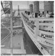 Photo - Paquebot QUEEN MARY Au Port De Cherbourg - Années 1930 / 1950 - - Boats