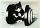 ►  Chaton Et Initiation à L' Haltérophilie Par Voller Ernst - Weightlifting