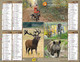 CALENDRIER 2019  CHASSE - Tamaño Grande : 2001-...