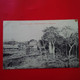 CARTE PHOTO ANALALAVA SOLDAT L HEURE DU THE 1906 ET MAINTIRANO - Madagaskar