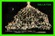 WILMINGTON, NC - WORLD'S LARGEST LIVING COMMUNITY CHRISTMAS TREE -  SERVICE NEWS CO - CURTEICH-CHICAGO - - Wilmington
