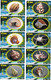 Delcampe - S05057 China Phone Cards Shell 77pcs - Peces