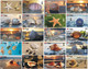 S05085 China Phone Cards Shell 120pcs - Poissons