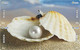 S05087 China Phone Cards Shell Puzzle 20pcs - Fish