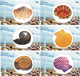 S05088 China Phone Cards Shell 80pcs - Fish